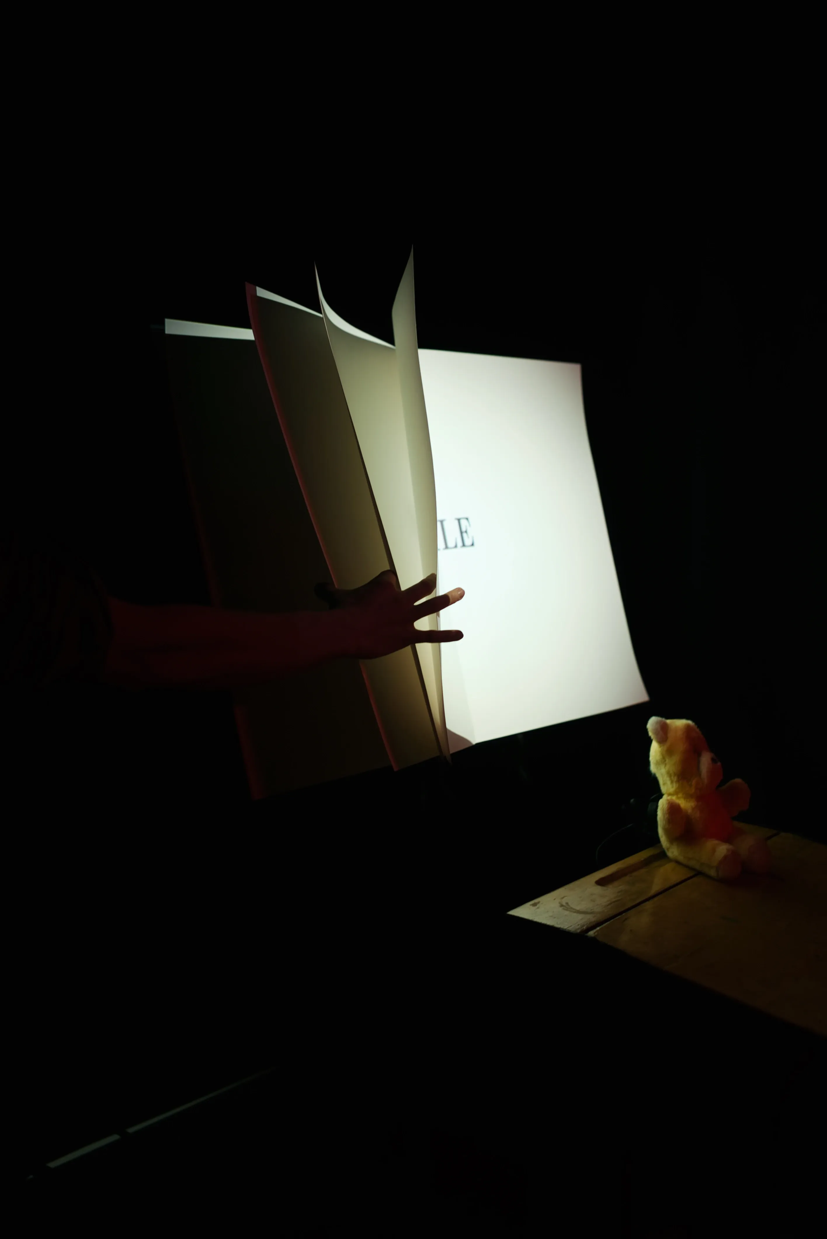 A hand holding several pages of the book.