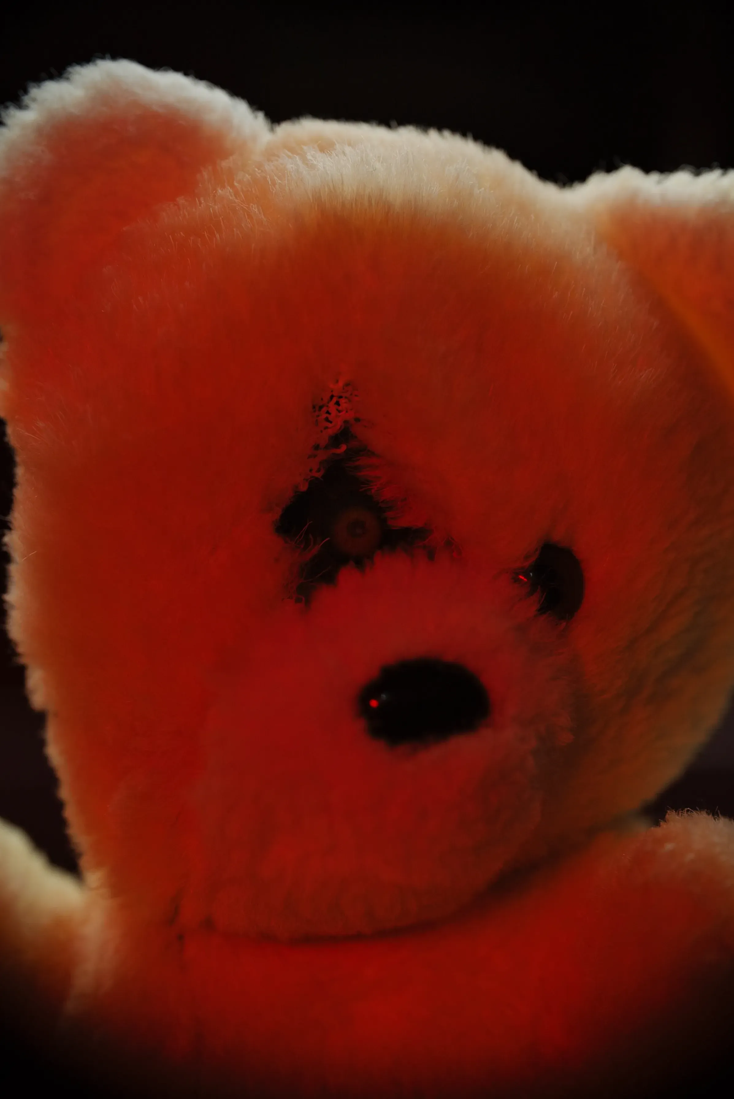 A teddy bear with its eye replaced by a camera.
